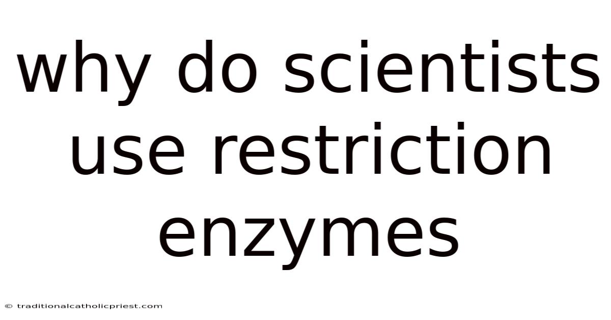 Why Do Scientists Use Restriction Enzymes