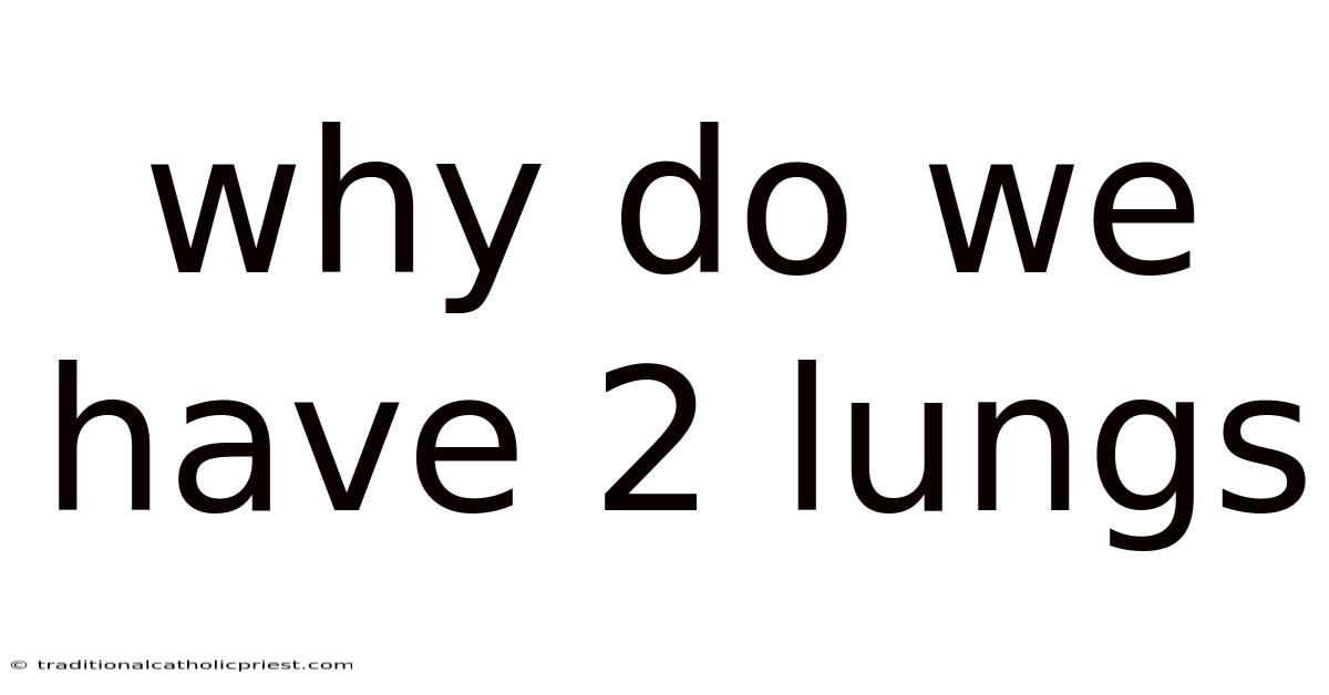 Why Do We Have 2 Lungs