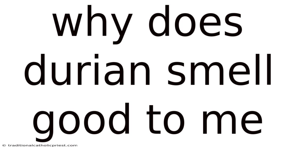 Why Does Durian Smell Good To Me