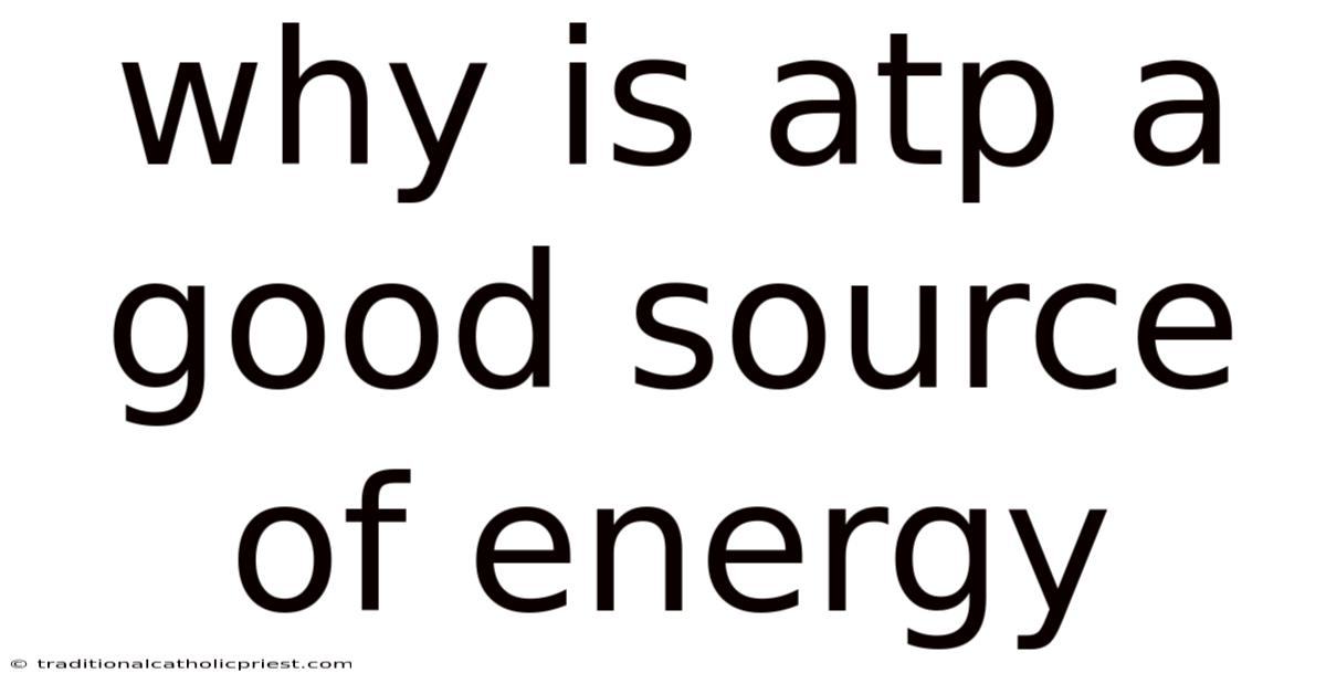 Why Is Atp A Good Source Of Energy