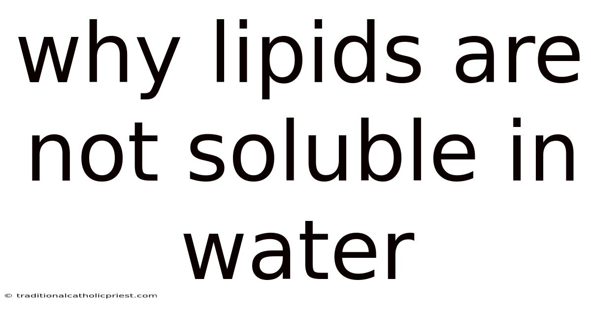 Why Lipids Are Not Soluble In Water
