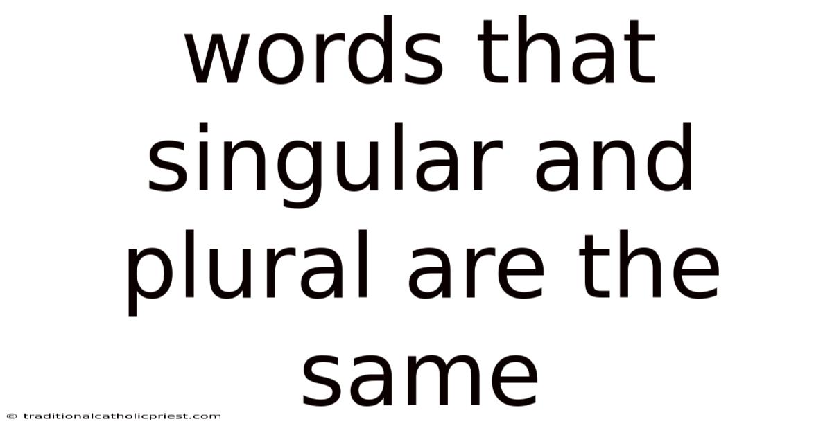 Words That Singular And Plural Are The Same