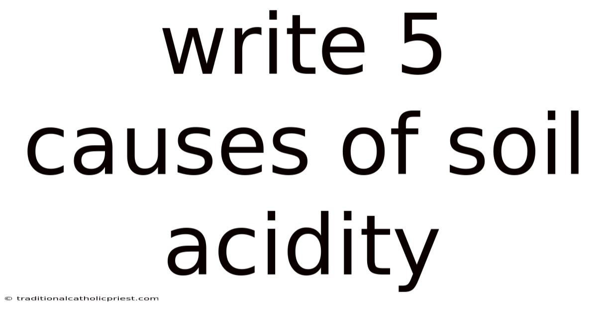 Write 5 Causes Of Soil Acidity